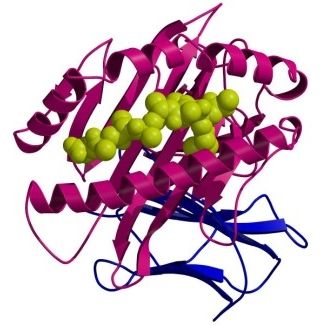 JPG - 22.6 ko